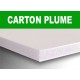 Carton plume