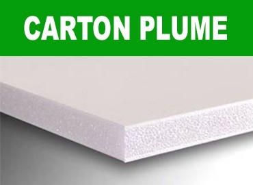 Carton plume