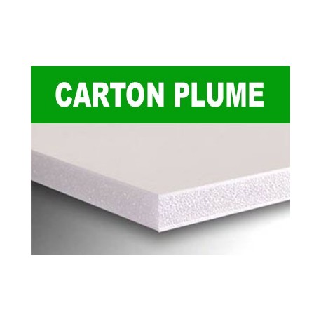 Carton plume