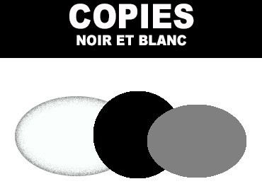 COPIES NOIR ET BLANC