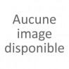 FORME DROITE